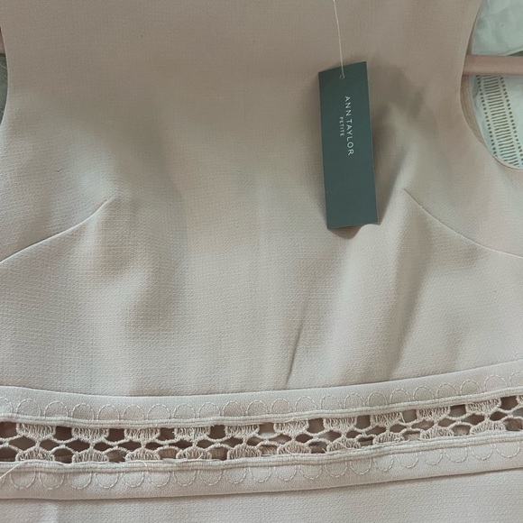 Brand new never worn Ann Taylor dress - Picture 2 of 6